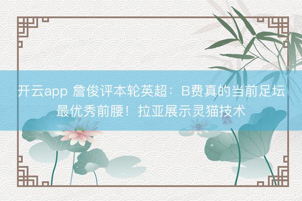 开云app 詹俊评本轮英超：B费真的当前足坛最优秀前腰！拉亚展示灵猫技术